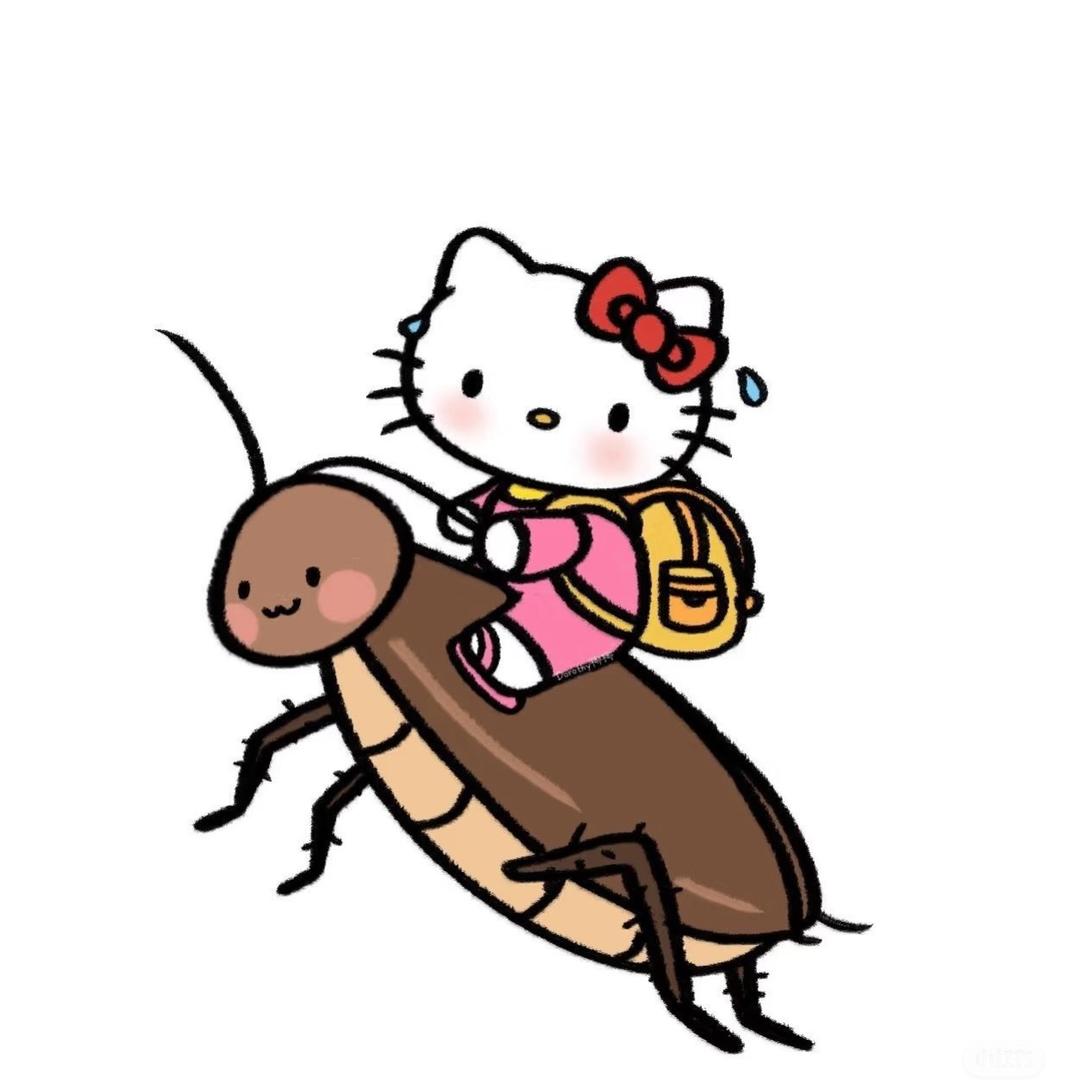 小y