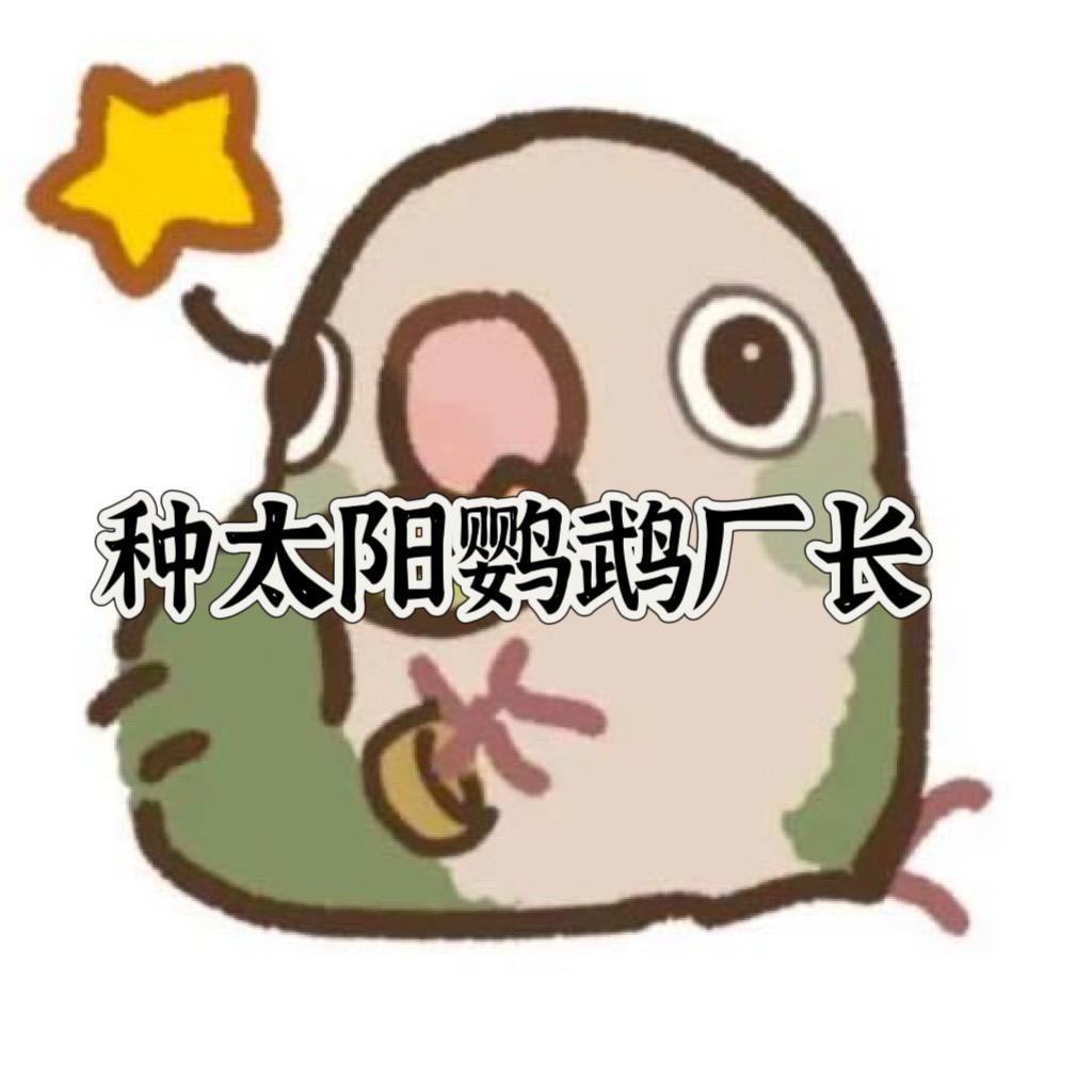 种太阳鹦鹉（合法鸟场）的头像
