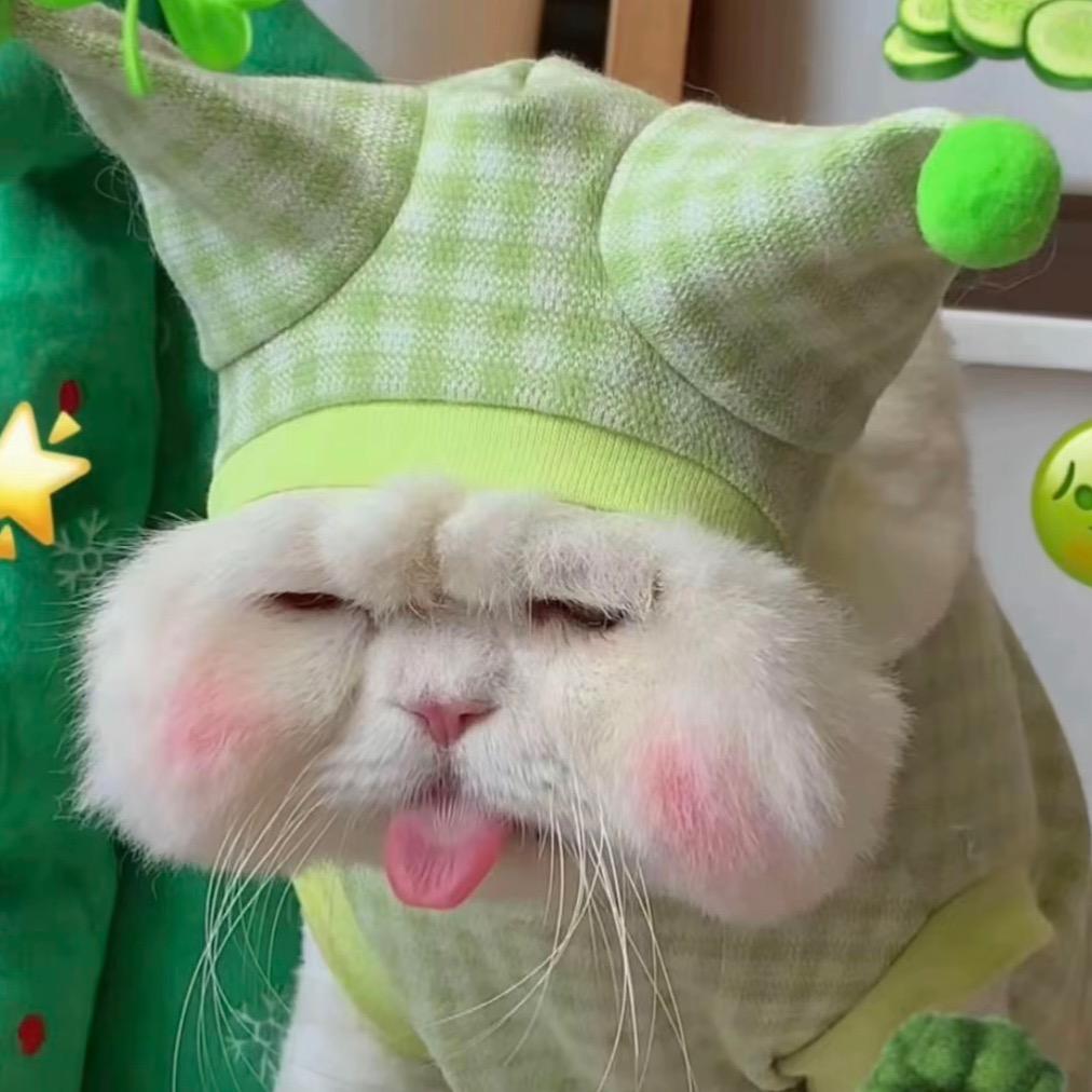 渴死的恰恰狗