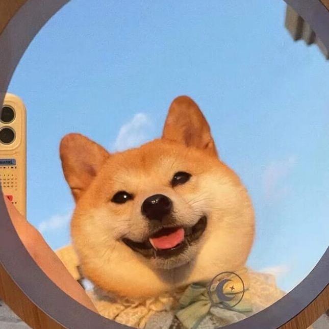 美美福来