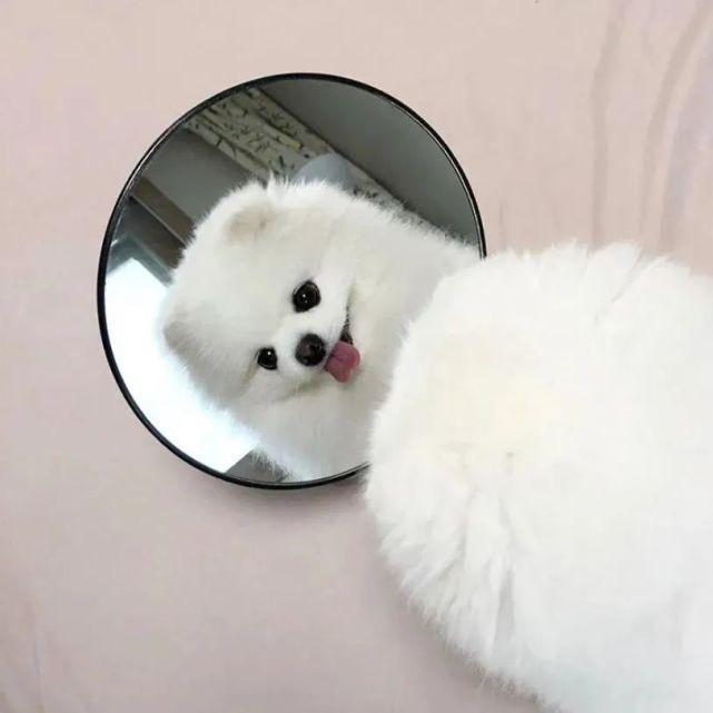 不饿.