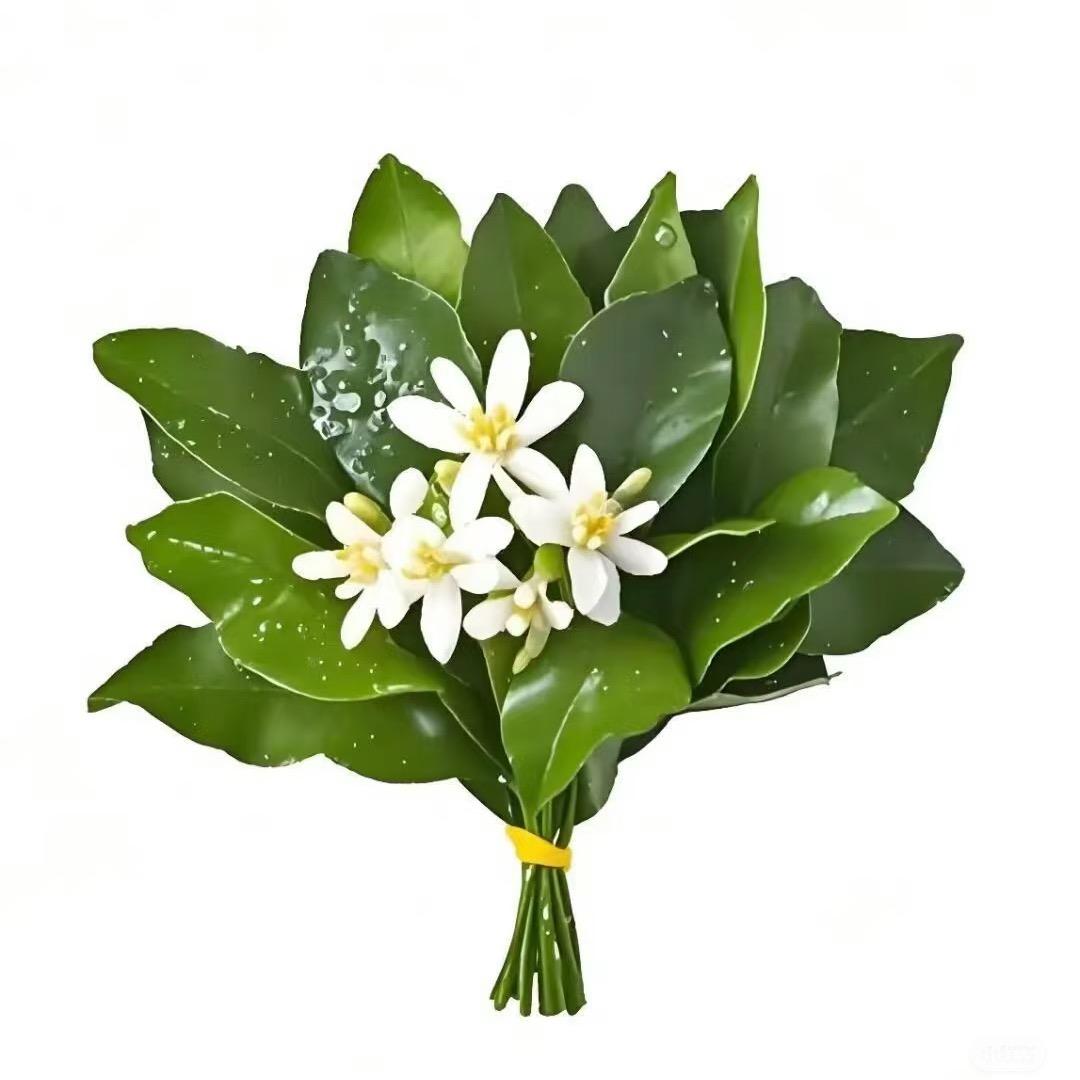 🦹‍♀️🦹‍♀️🦹‍♀️