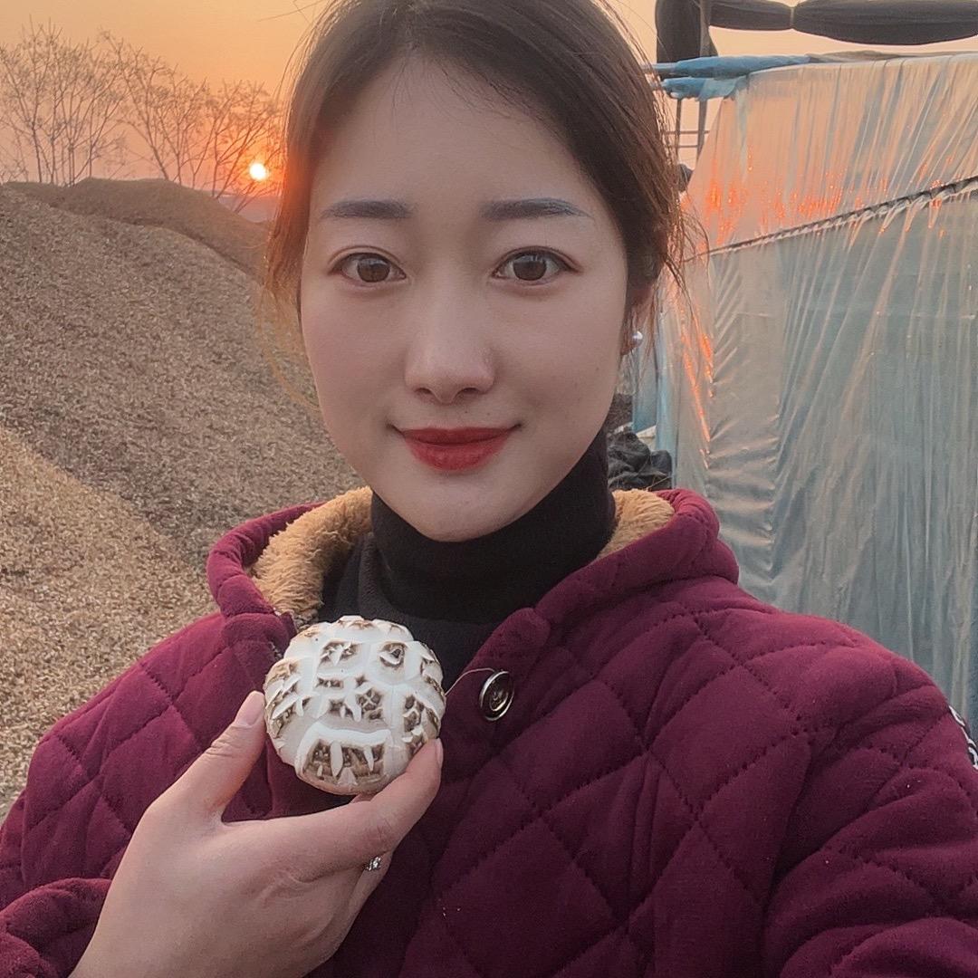 随州花菇村干部