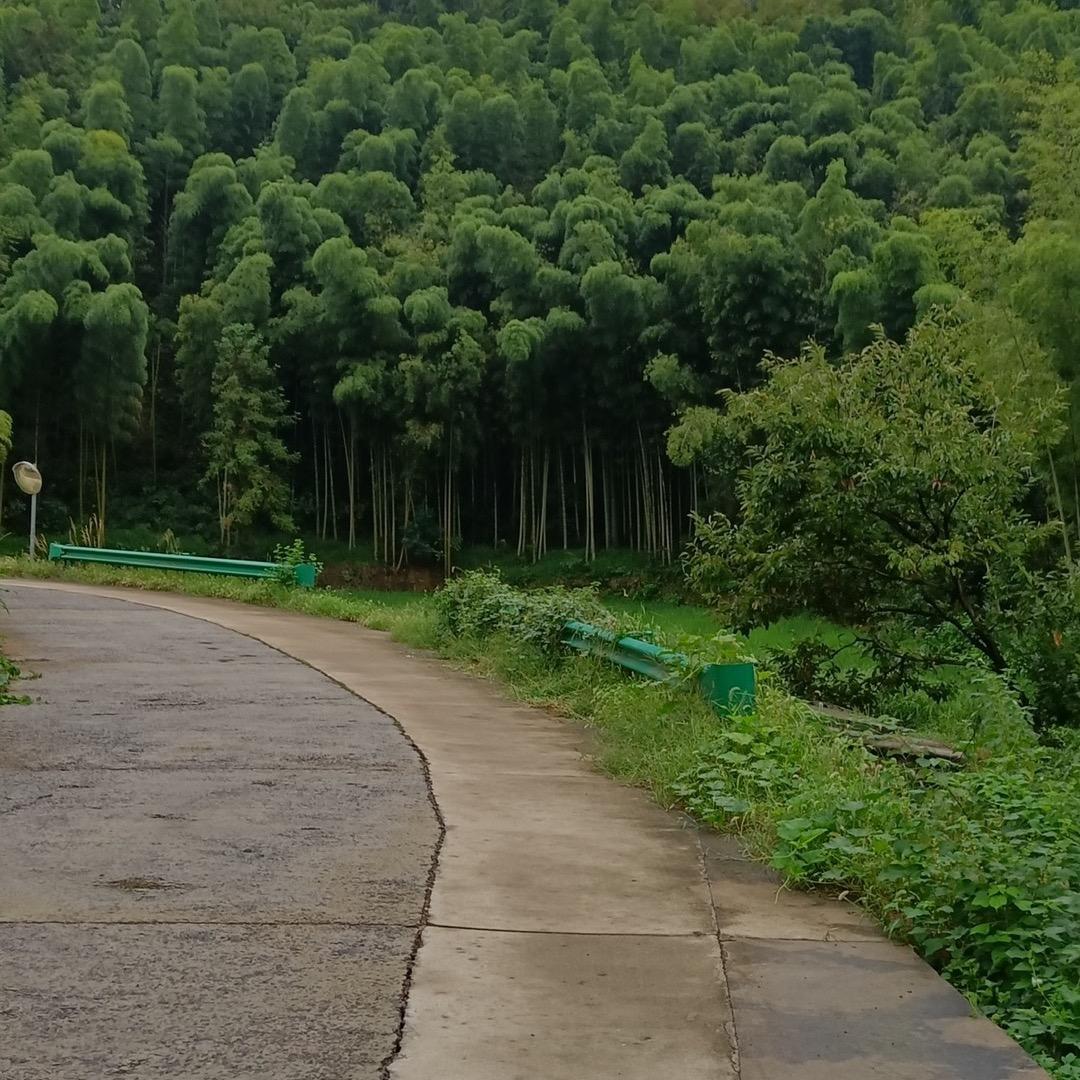 望月思乡