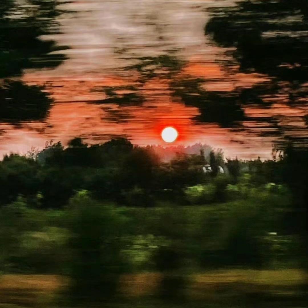 狮子🦁️🦁️