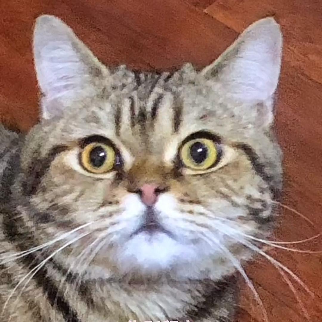 振