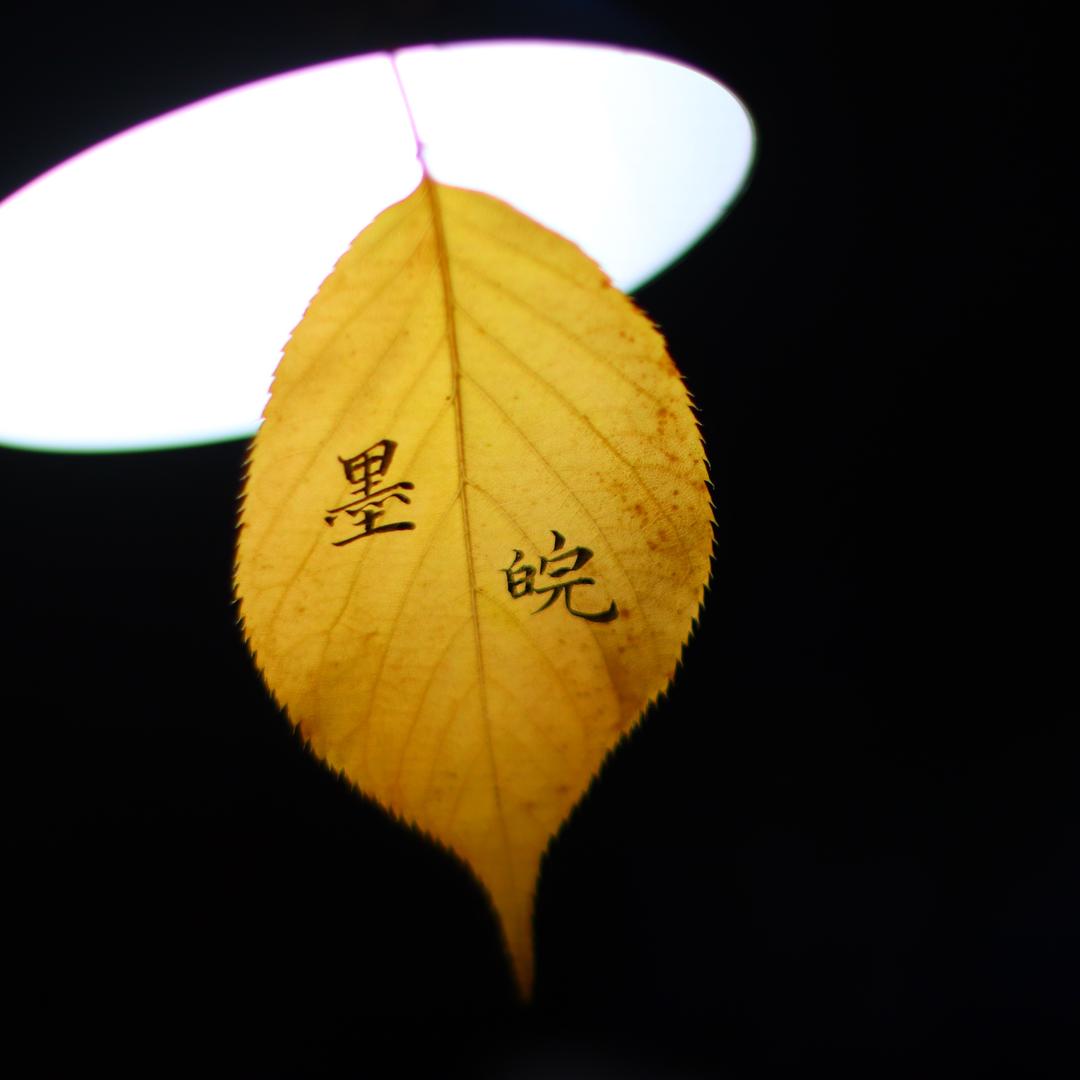 墨小皖