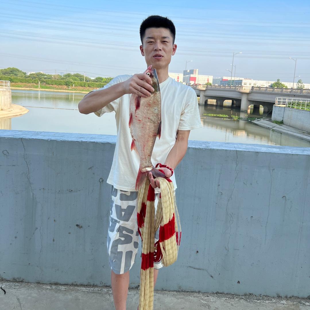 小马撒网