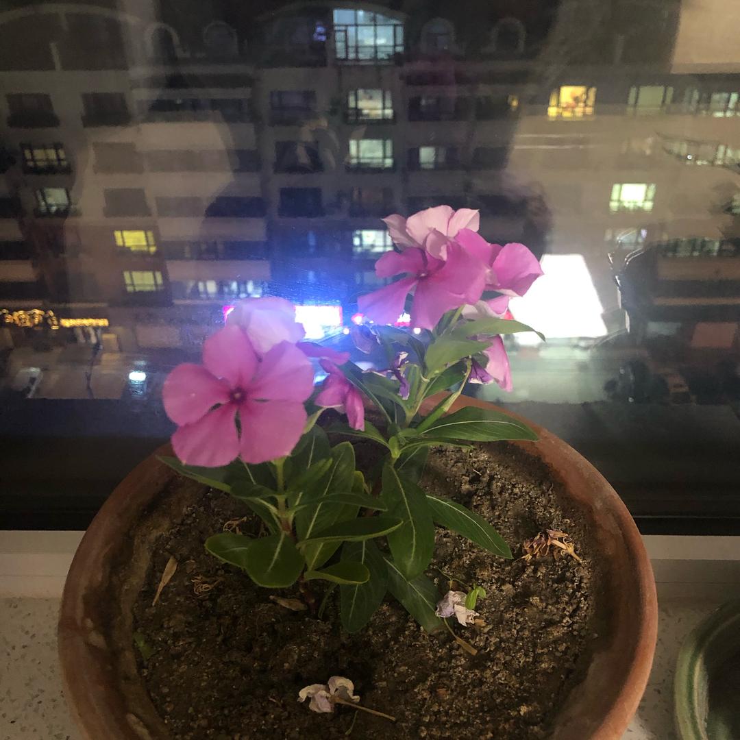 悠然静心