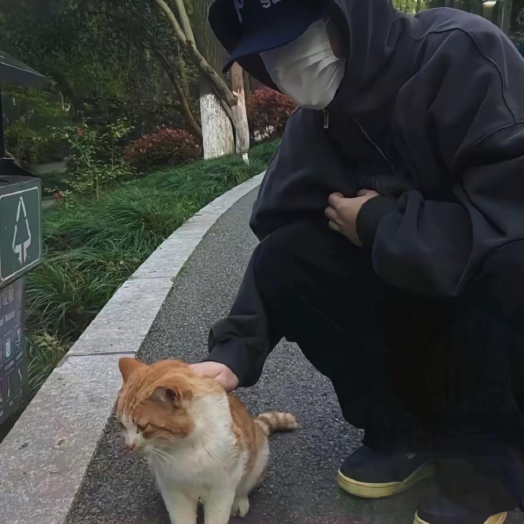 沈楠.