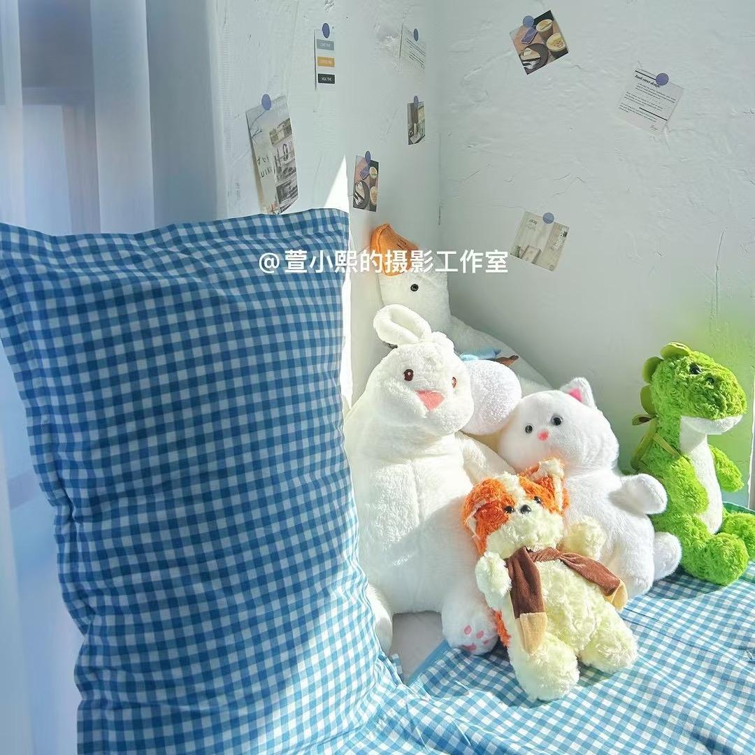 萱小熙的摄影工作室