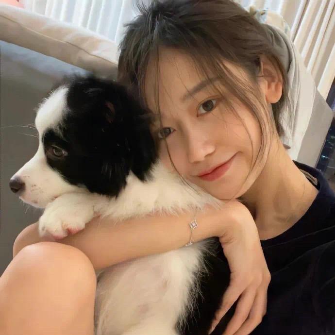 小土豆的可爱多🐶
