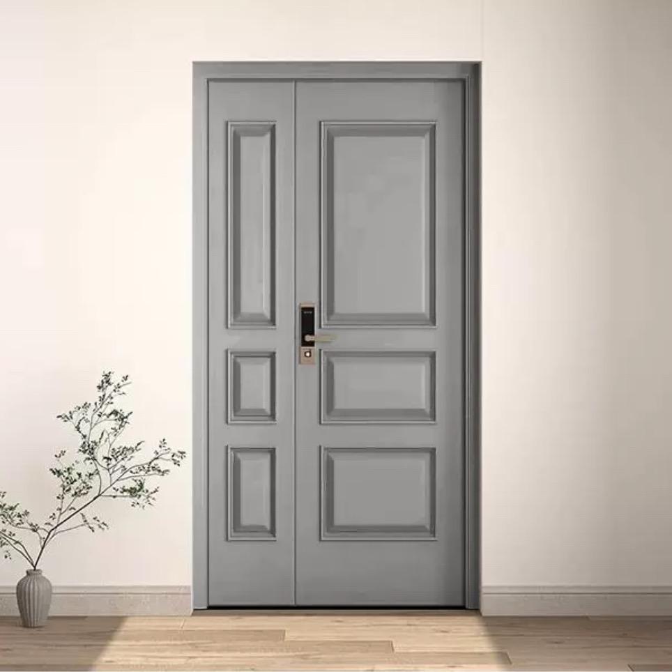 临泉入户门改色