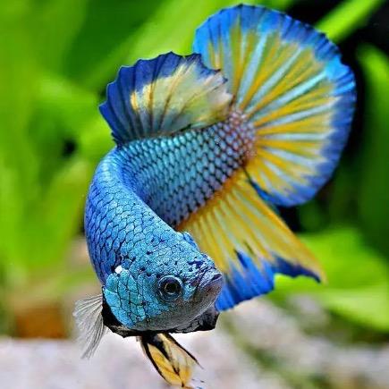 杭州建德千源民宿有限责任公司