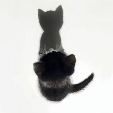 香猪香猪