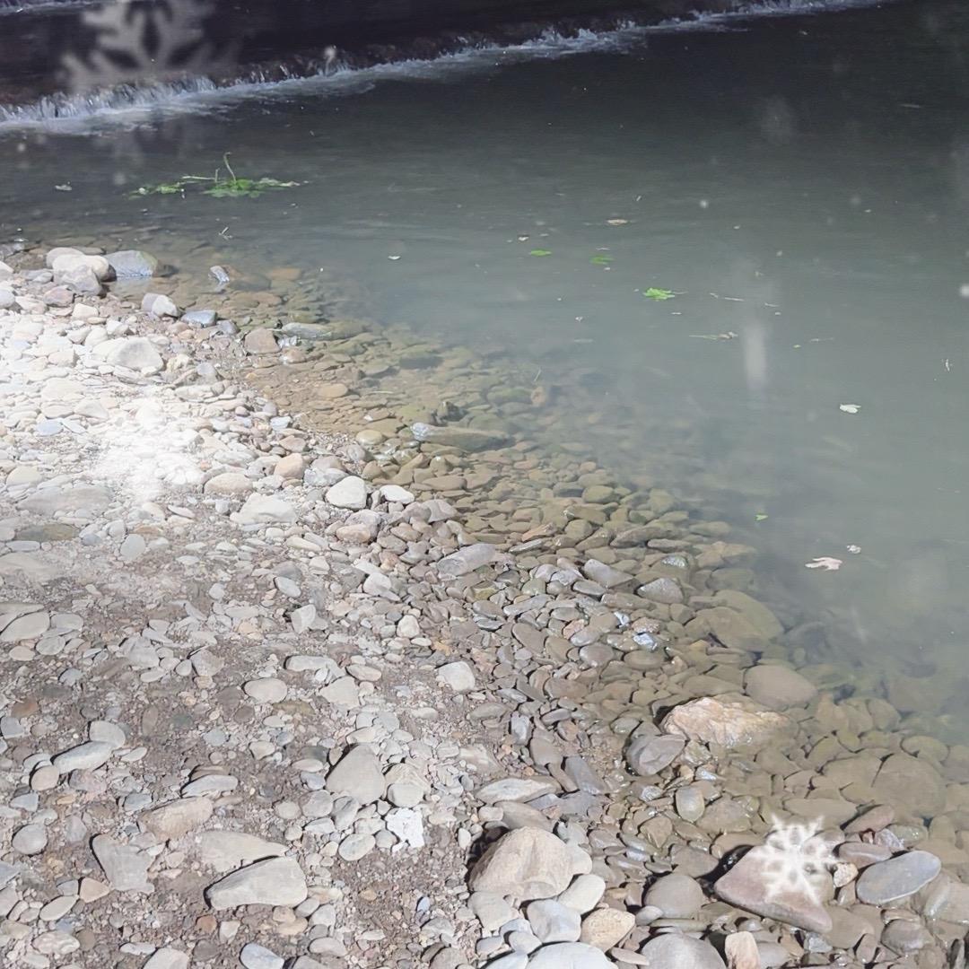 江钓王
