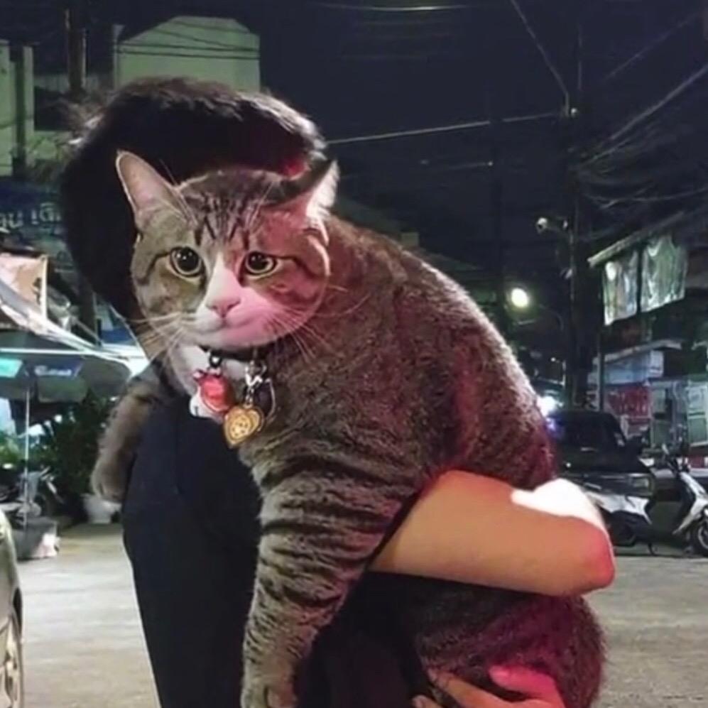 嘿嘿嘿嘿