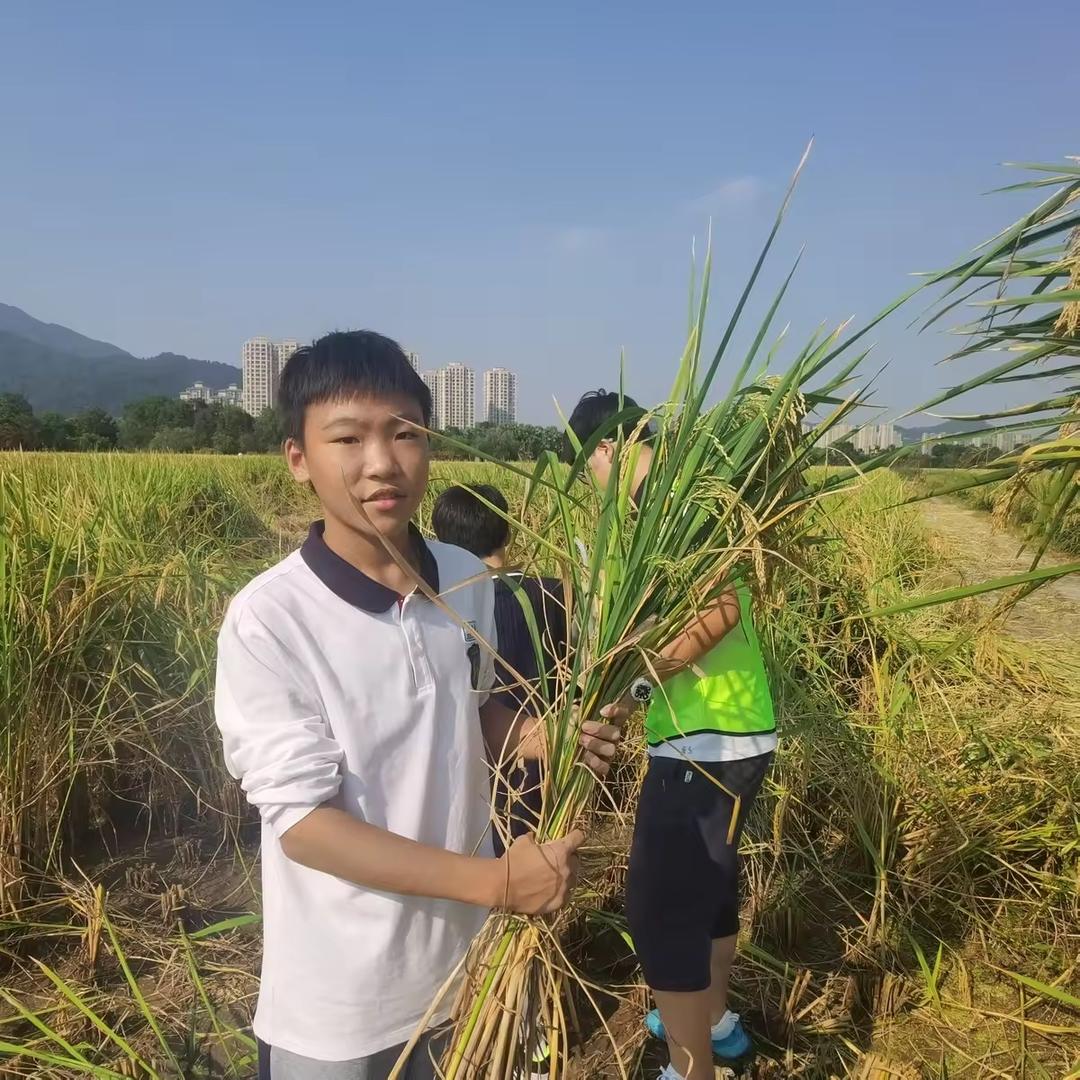 温州双屿华如鞋业