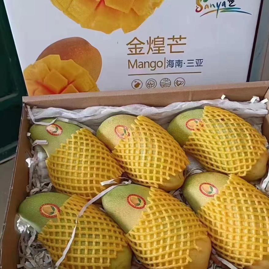 绿壹品果业