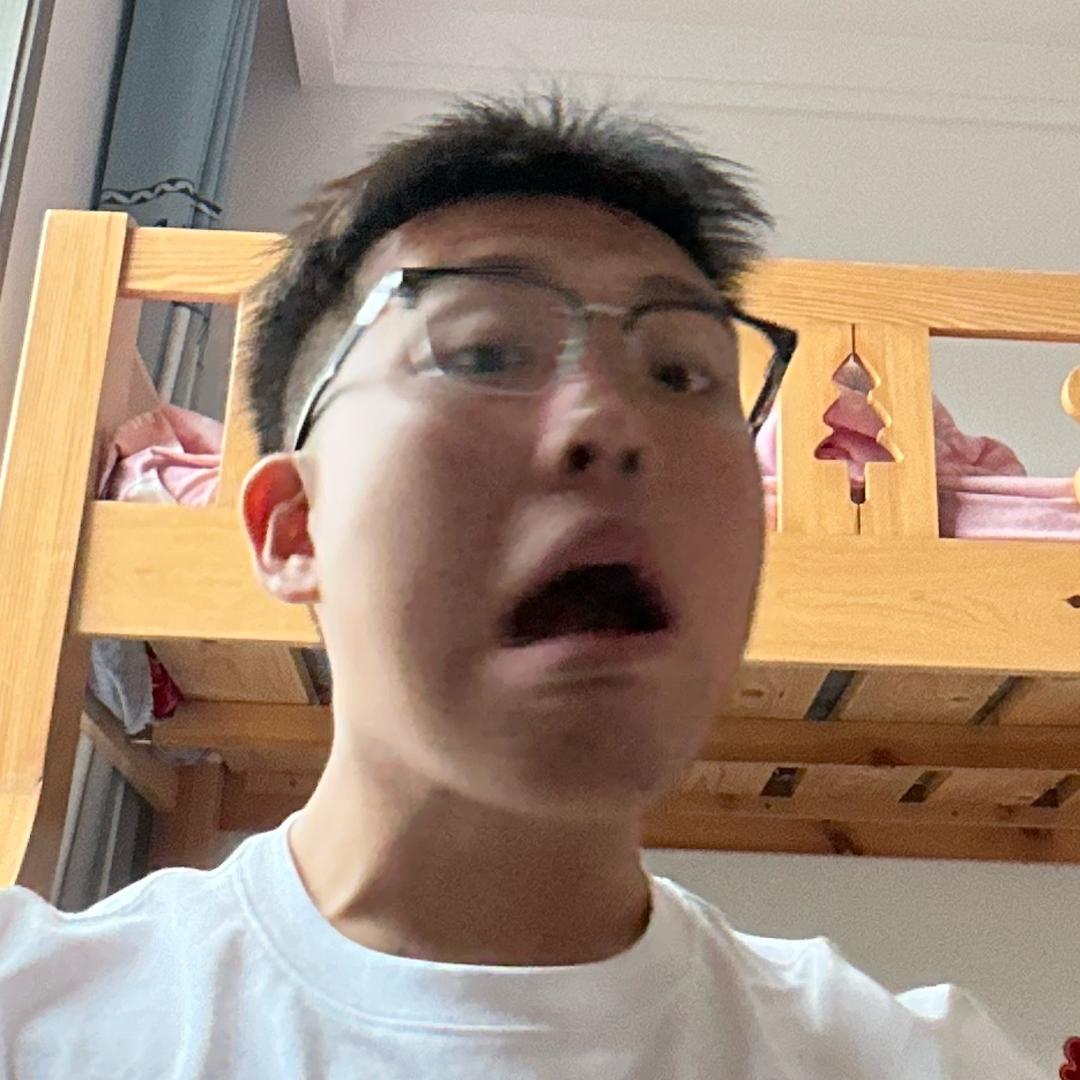 一只傻鸟