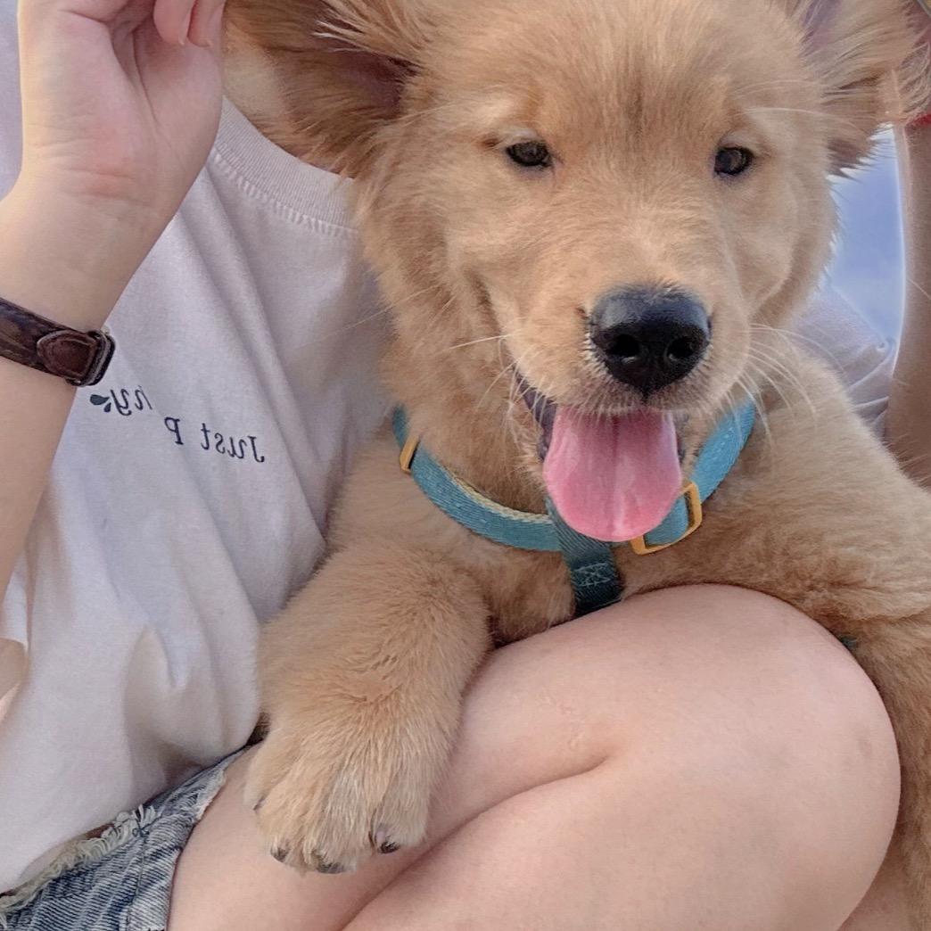 张十八的朋友圈