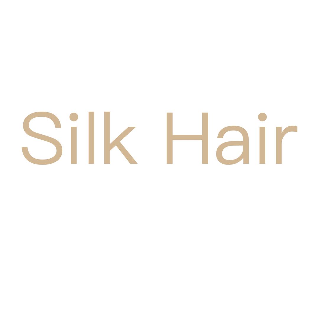 Silk Hair  SK造型