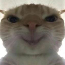 七瑞
