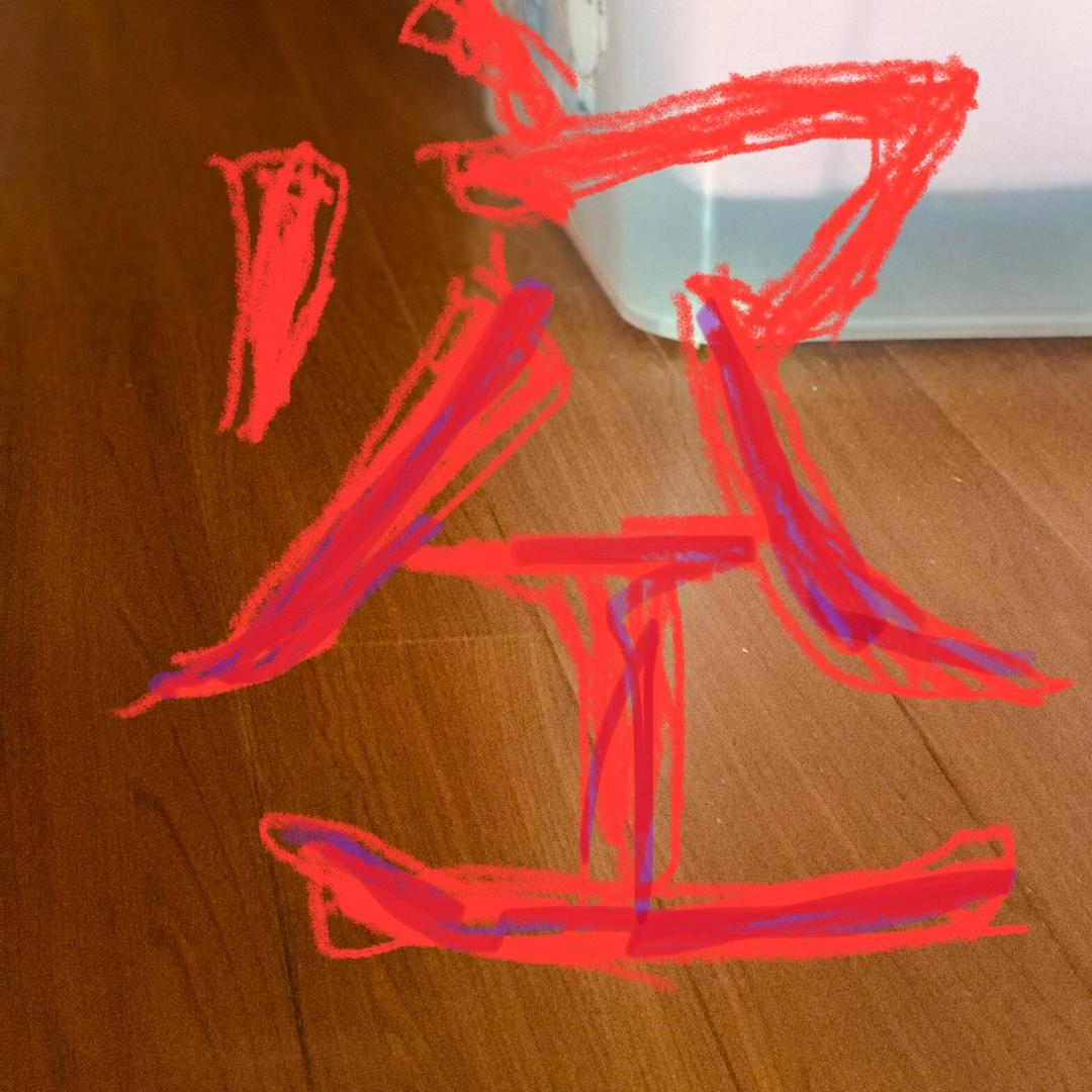 小蛇出海