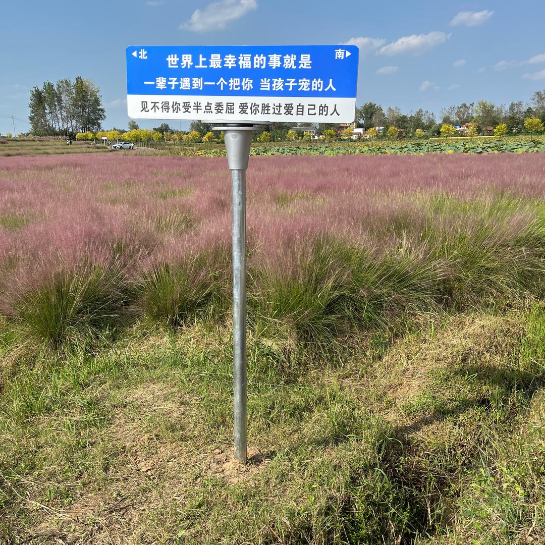 兰 草