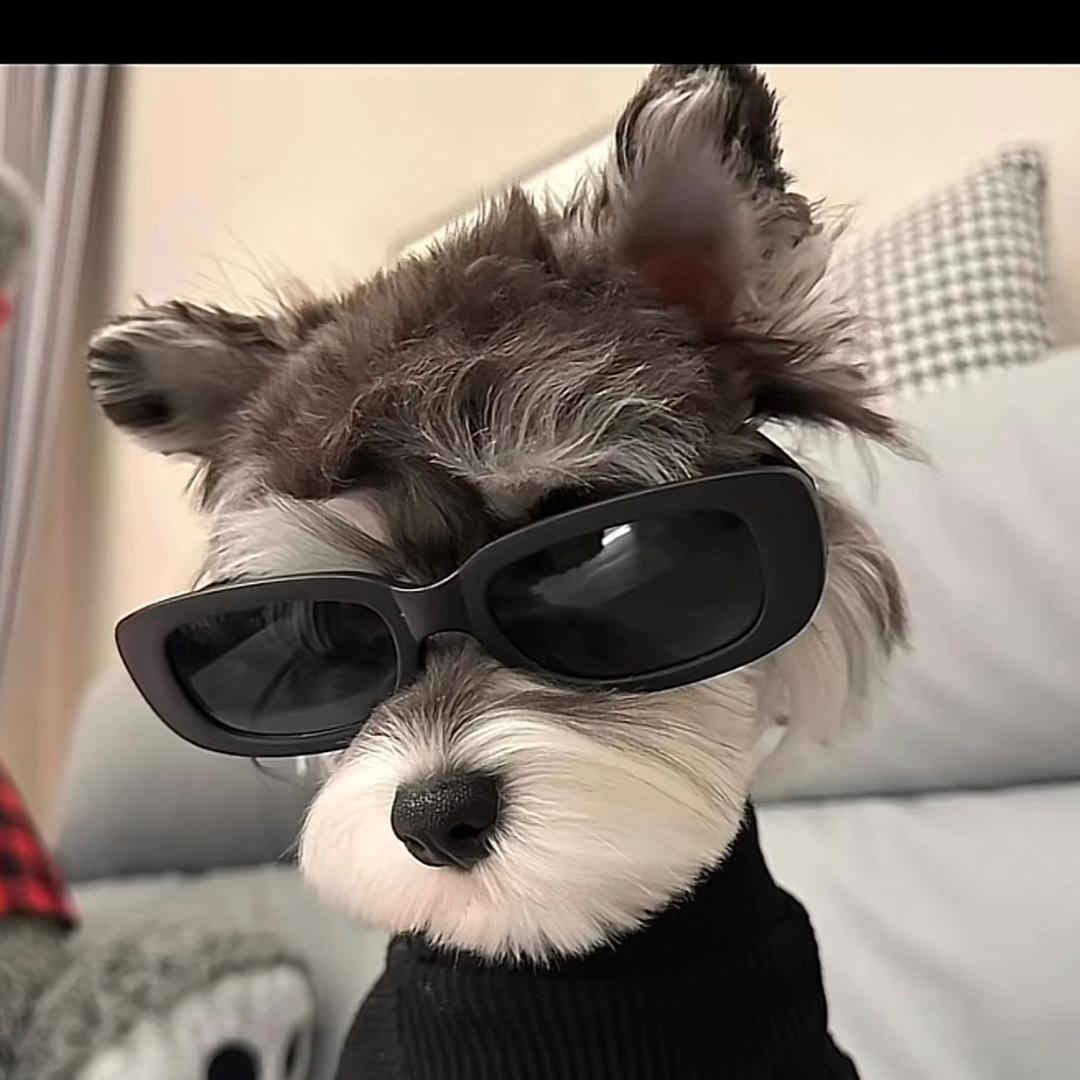 kkkkkkk