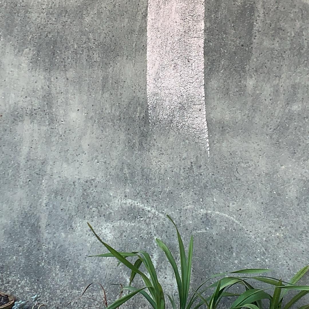 邓师和廖师（不赌版）