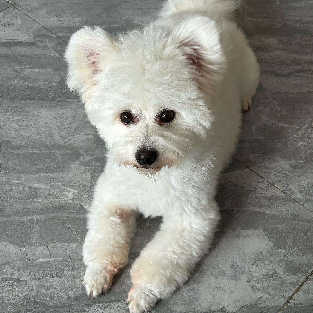 宠爱🐶有家🏠