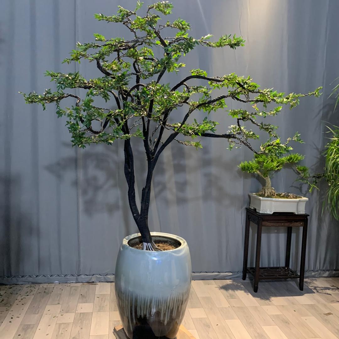 沐源绿植基地