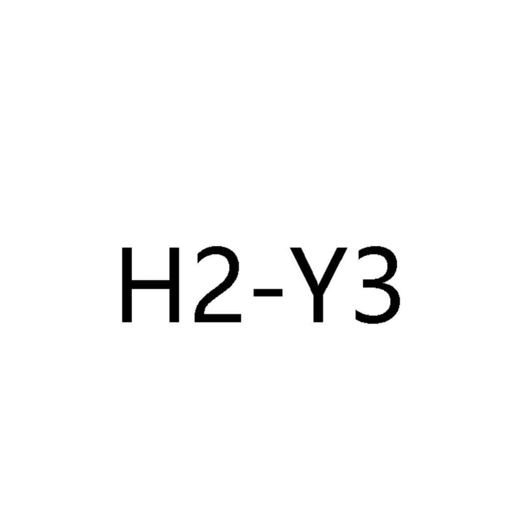 H2-Y3鞋类