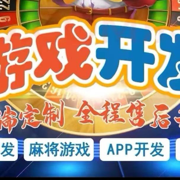 软件开发