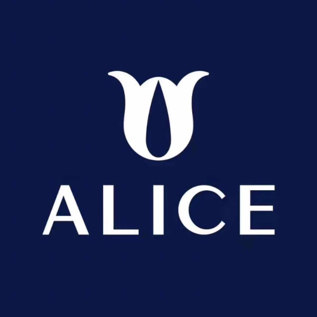 爱丽丝官方旗舰店投资金严选