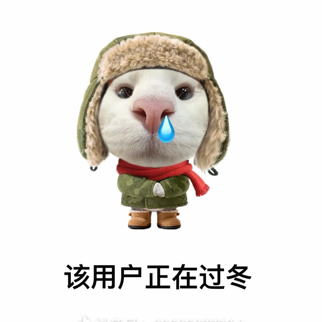 饺子.🥟
