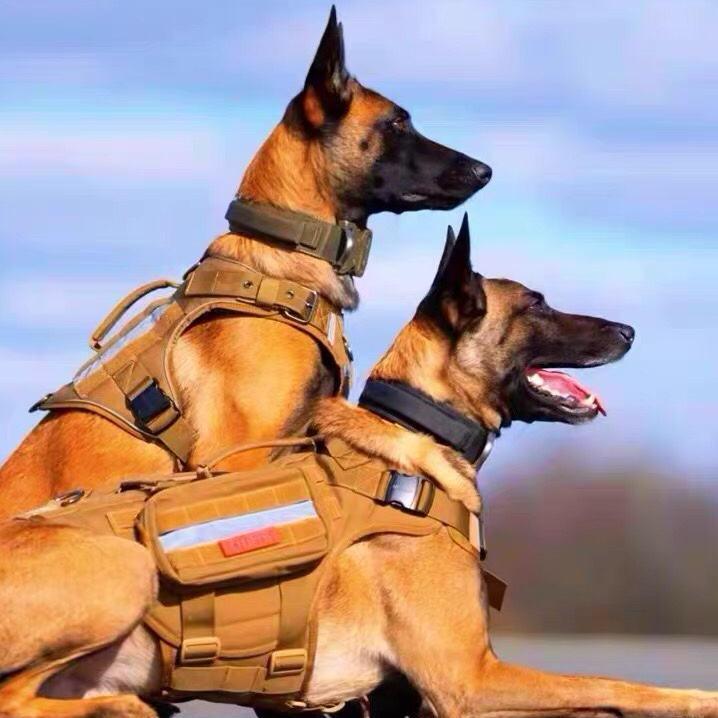 互⚡️涨⚡️粉 1000