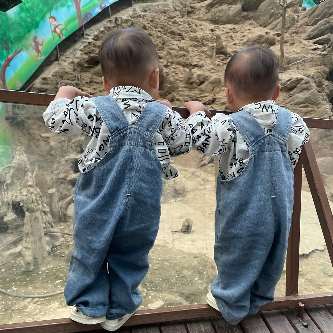 兜兜日常记🧸