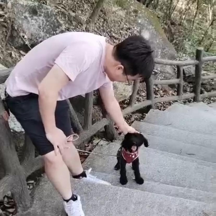 巨控黄工
