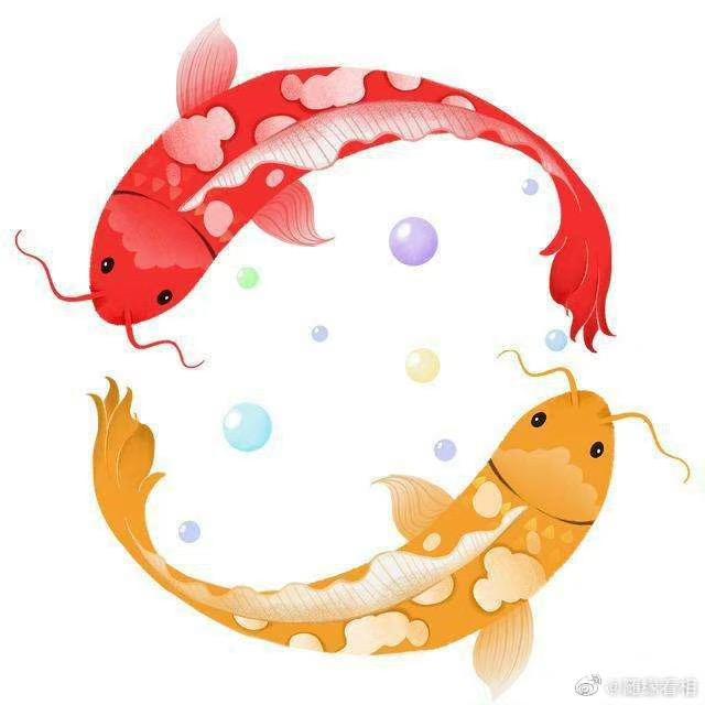 涤心