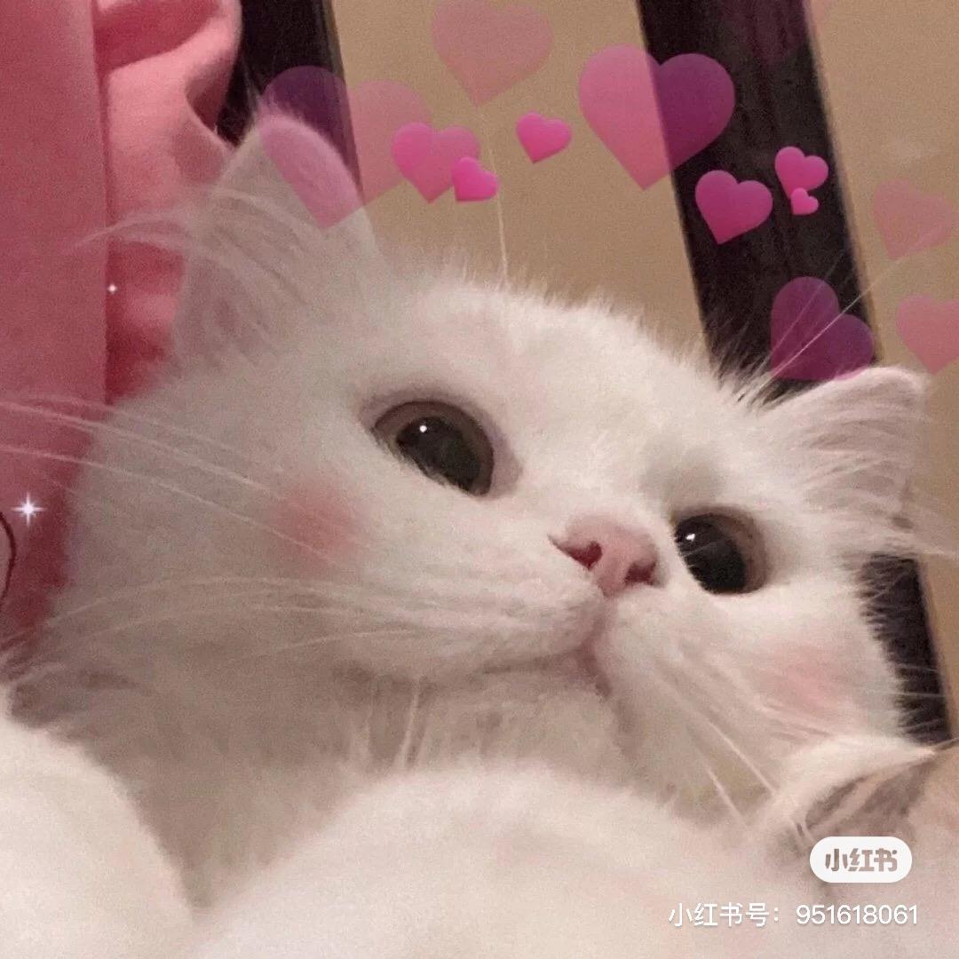 小婷崽汁ᵕ̈