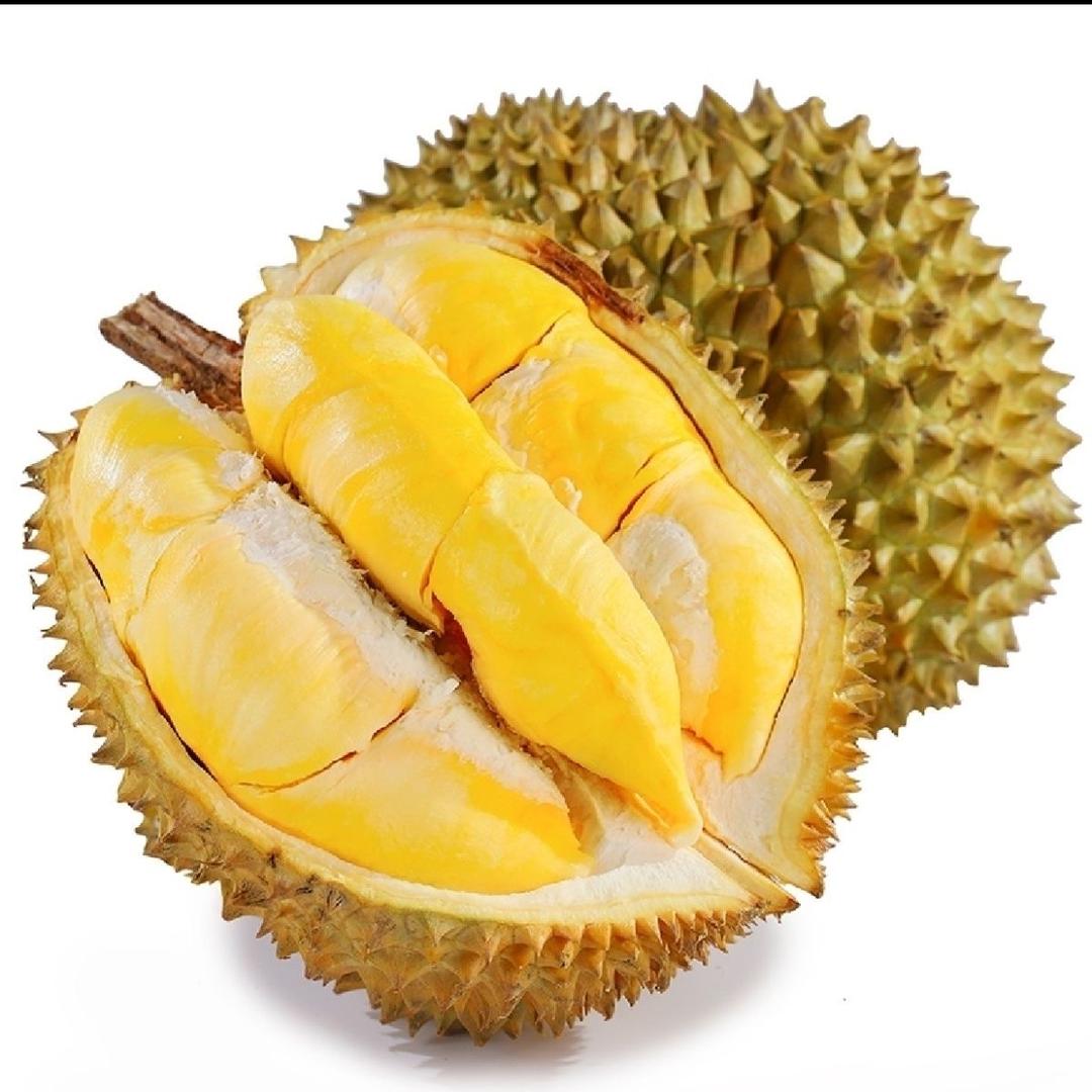 榴金金海口总店