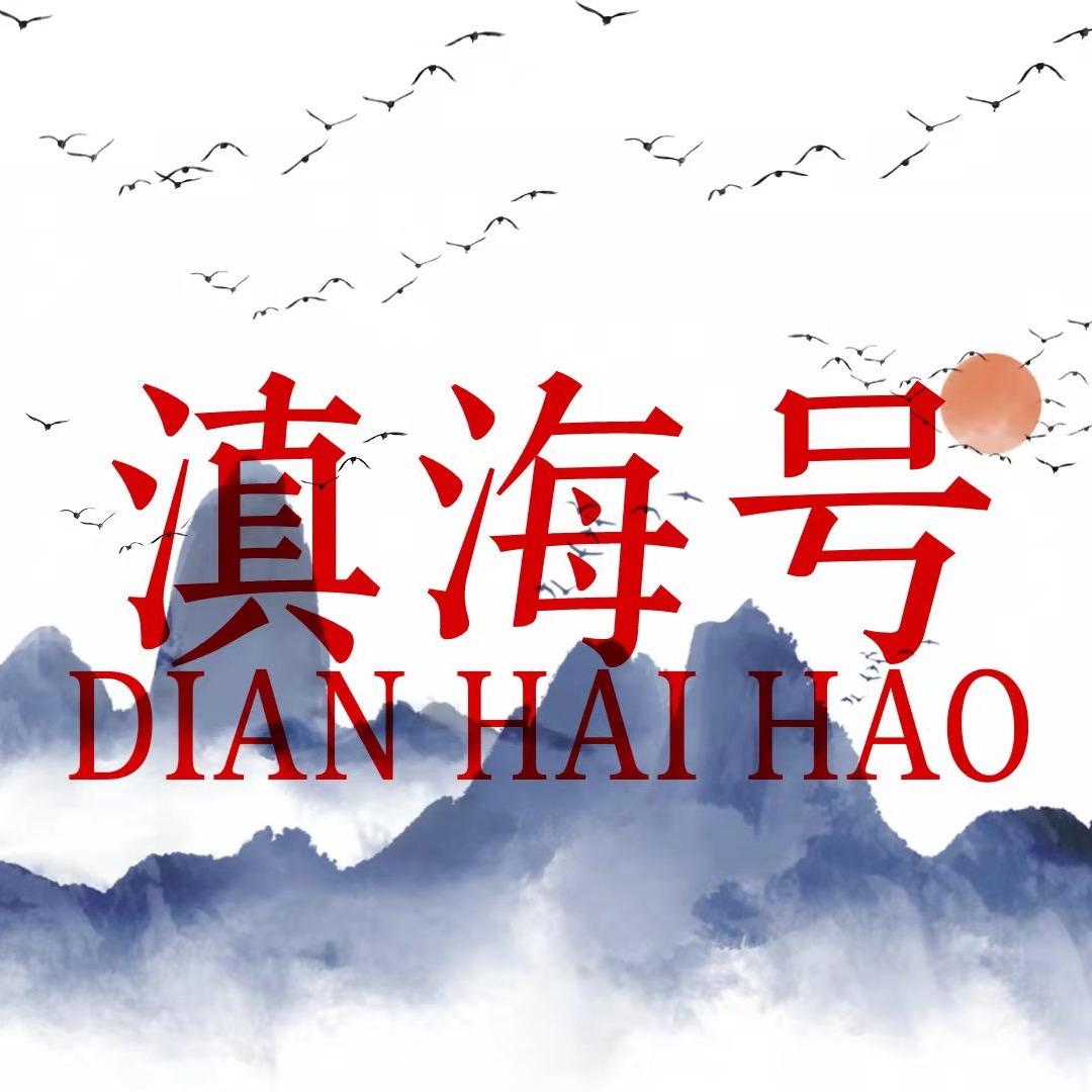 滇海号普洱茶