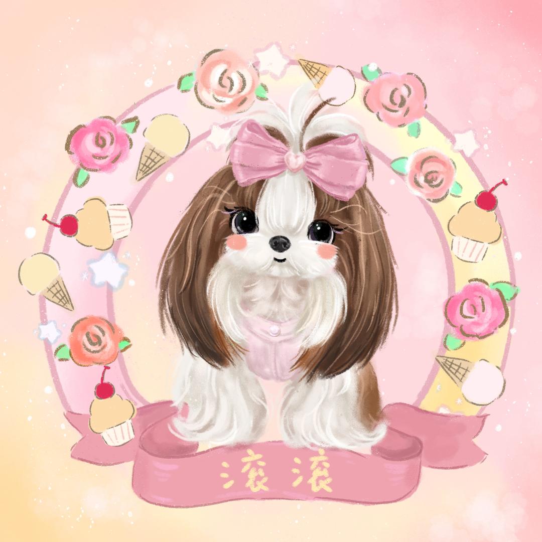 滚滚的试衣间