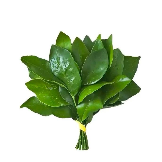 是小胡呀（日更版）