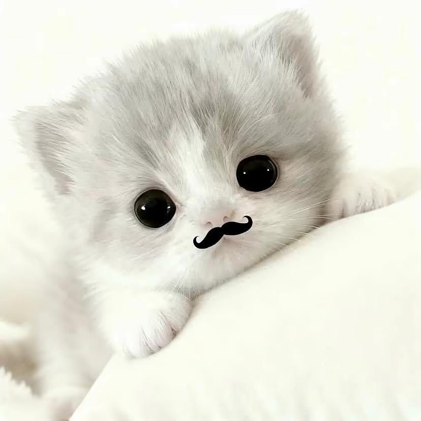 如果敏感是天赋