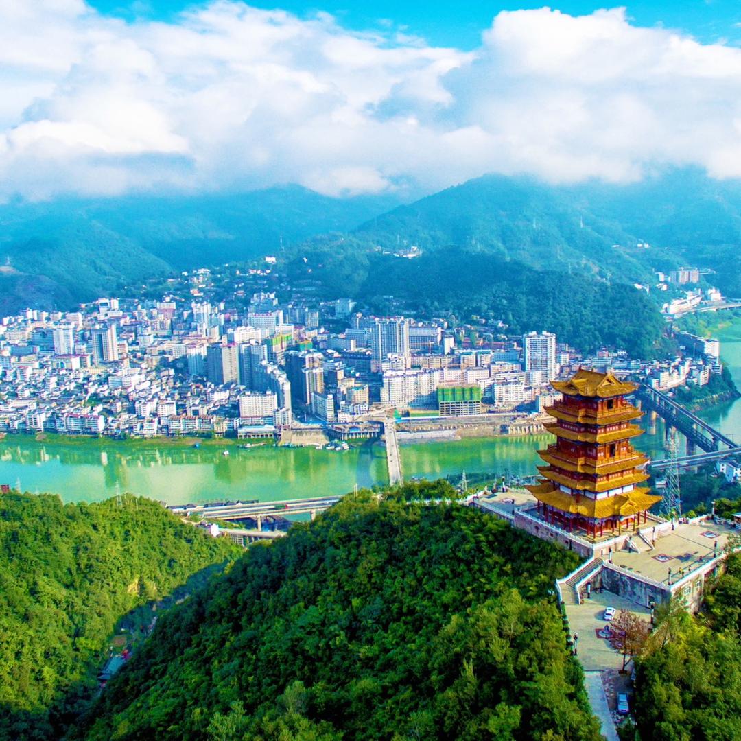 紫阳富