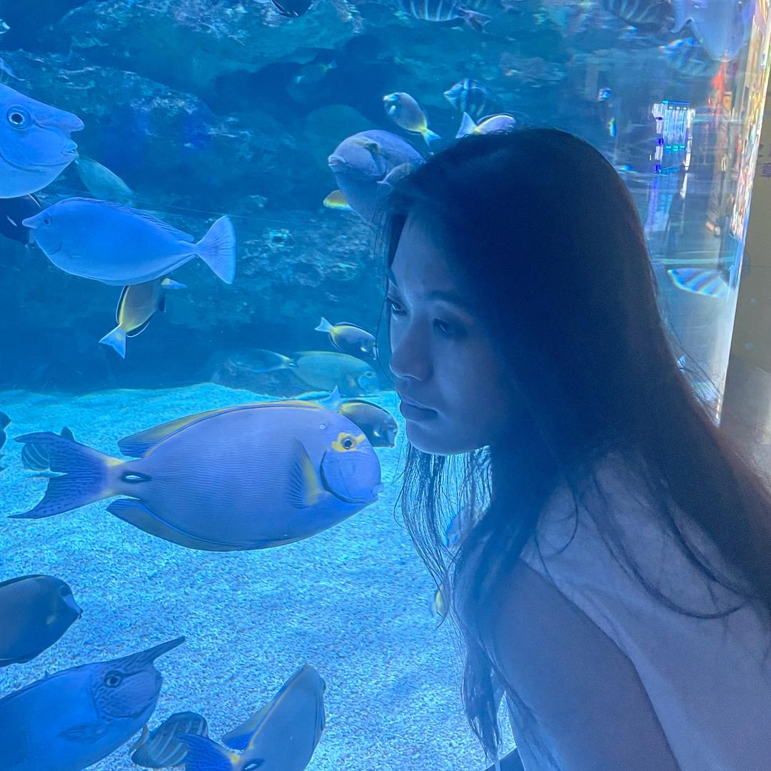 馒头菜菜