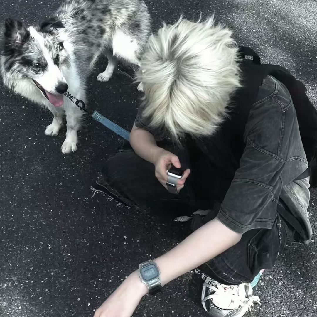 MT局头（无限收代理版）